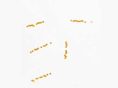 精密91免费网站入口-H62铜